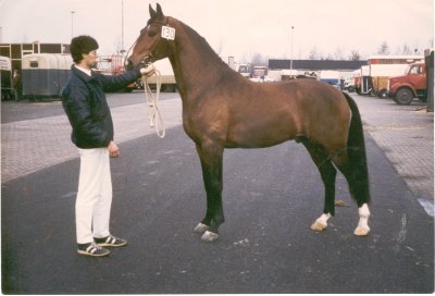 Foto van Zooloog