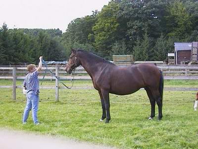 Foto van Ineke