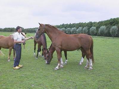 Foto van Fleur