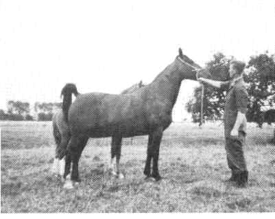 Foto van Rosalie van Wittenstein