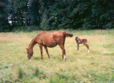 Foto van Anouk