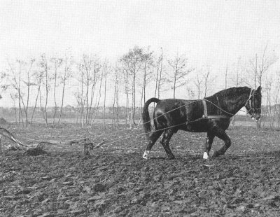 Foto van Graniet