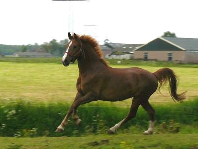 Foto van Belinda